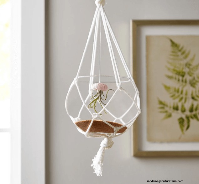 20+ DIY Indoor Hanging Planters to Refresh Your Home