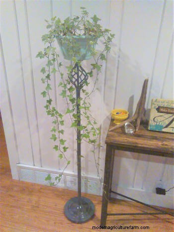 20+ DIY Indoor Hanging Planters to Refresh Your Home