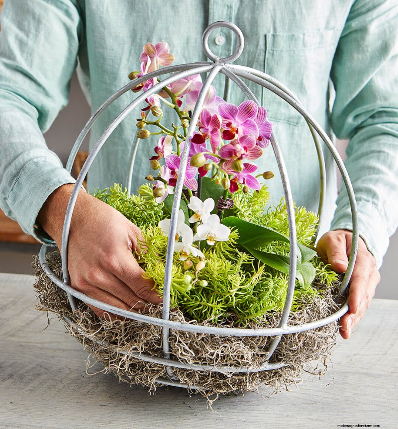 20+ DIY Indoor Hanging Planters to Refresh Your Home