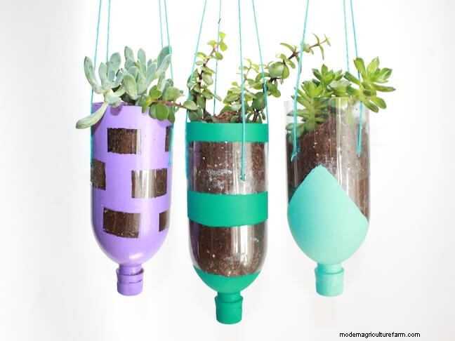 20+ DIY Indoor Hanging Planters to Refresh Your Home