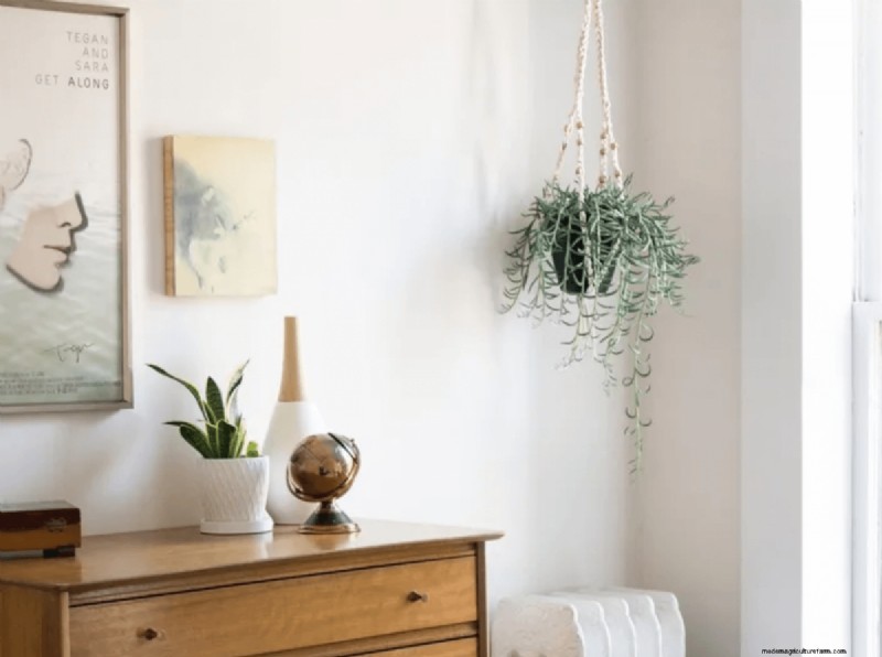 20+ DIY Indoor Hanging Planters to Refresh Your Home