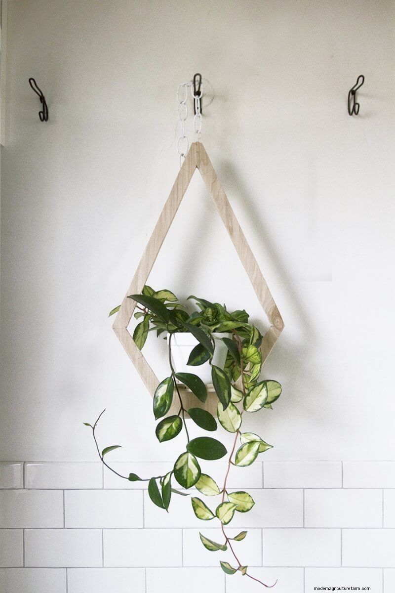 20+ DIY Indoor Hanging Planters to Refresh Your Home