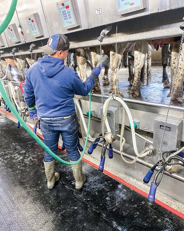 Milking equipment changes that made an impact on throughput