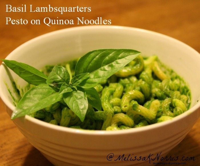 Pioneering Today-Basil Lambsquarters Pesto