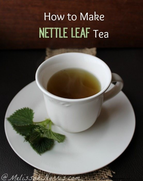How to Make Nettle Leaf Tea