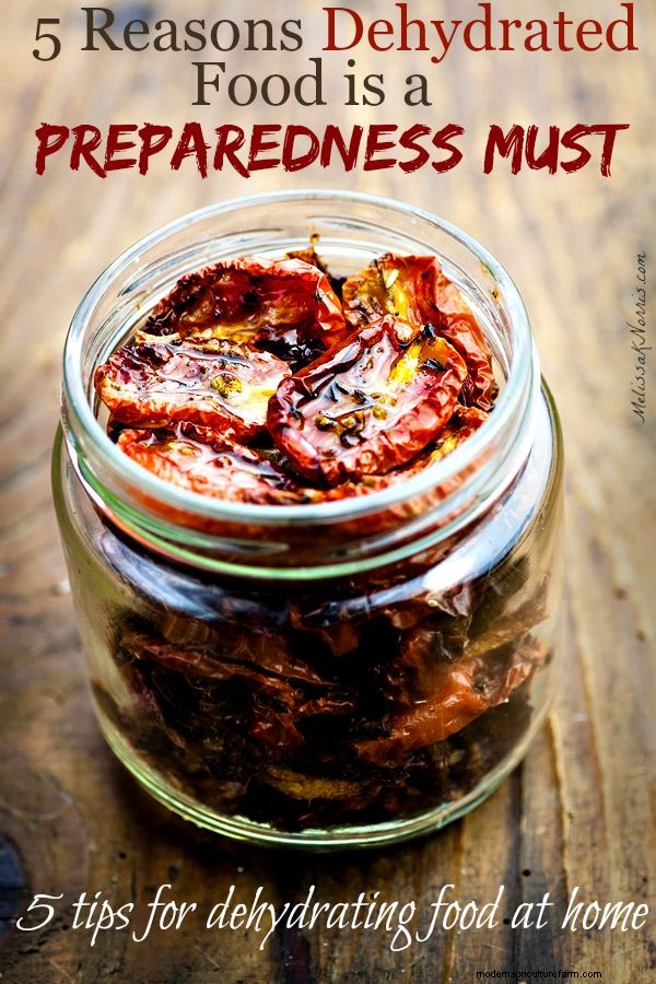 5 Reasons Dehydrated Food is a Preparedness Must & 5 Tips for Dehydrating at Home