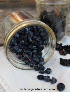 5 Reasons Dehydrated Food is a Preparedness Must & 5 Tips for Dehydrating at Home