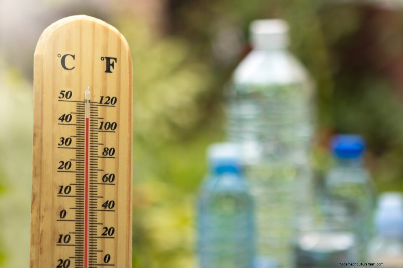 10 Ways to Keep Warm Without Electricity