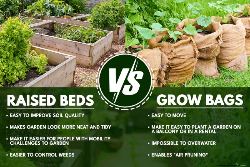 Grow Bags Vs Raised Beds: Which Is Better?