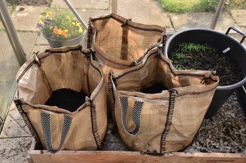 Grow Bags Vs Raised Beds: Which Is Better?