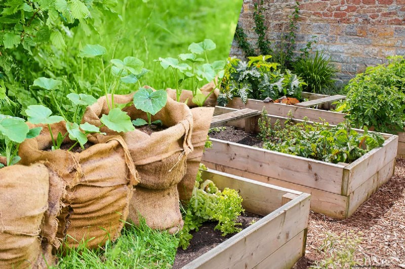 Grow Bags Vs Raised Beds: Which Is Better?