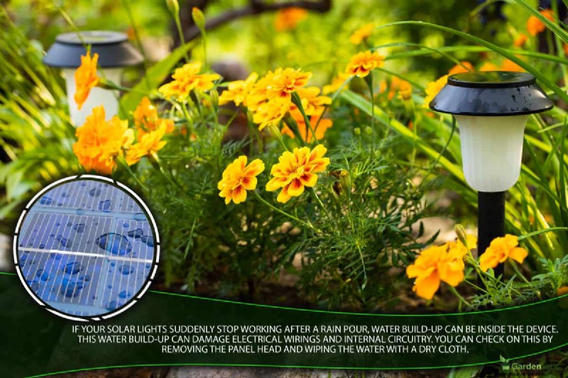My Solar Lights Are Not Working After Rain – Why? What To Do?