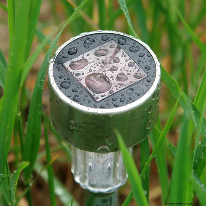 My Solar Lights Are Not Working After Rain – Why? What To Do?