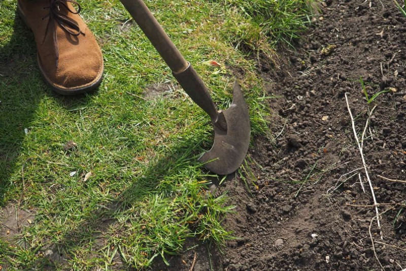 Can I Use An Edger To Dig A Trench?