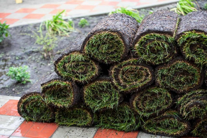 Can You Use Old Turf To Fill A Raised Bed? Should You?