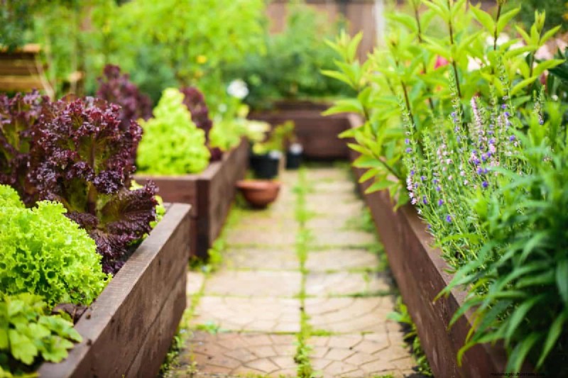 Can You Use Old Turf To Fill A Raised Bed? Should You?