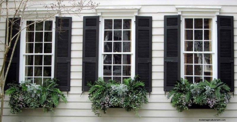 How To Choose The Right Container For Your Vertical Garden