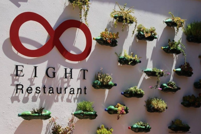 How To Make A Vertical Garden From Plastic Bottles