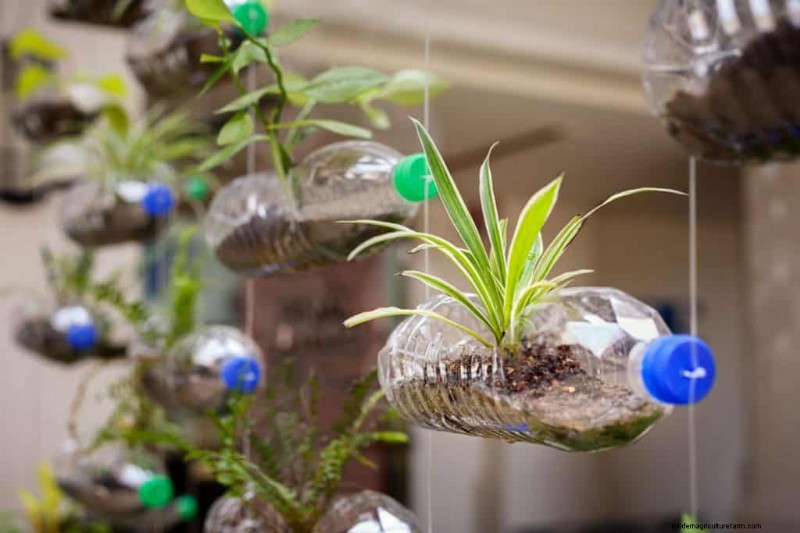 How To Make A Vertical Garden From Plastic Bottles