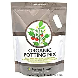 How To Make A Vertical Garden From Plastic Bottles