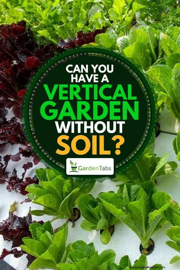 Can You Have A Vertical Garden Without Soil?
