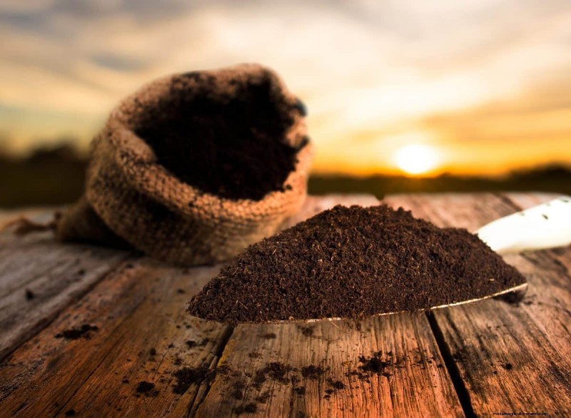 Can You Create A Vertical Garden Without Drilling?