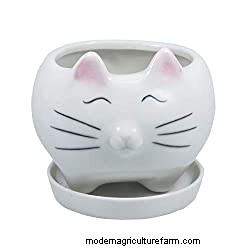 21 Cat-Shaped Planters And Pots That Will Make You Purr!