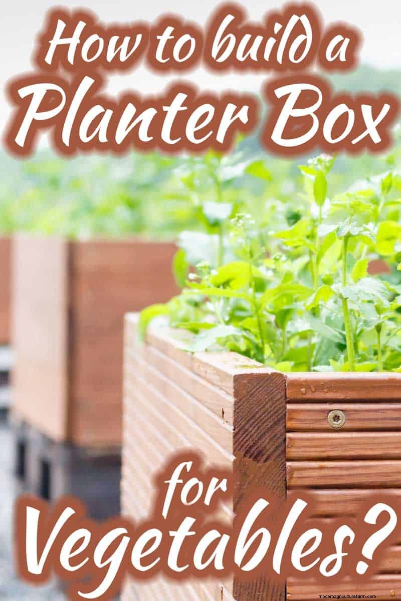 How To Build A Planter Box For Vegetables