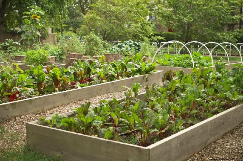 How To Build A Planter Box For Vegetables