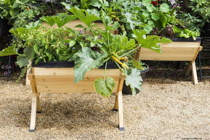 How To Build A Planter Box For Vegetables