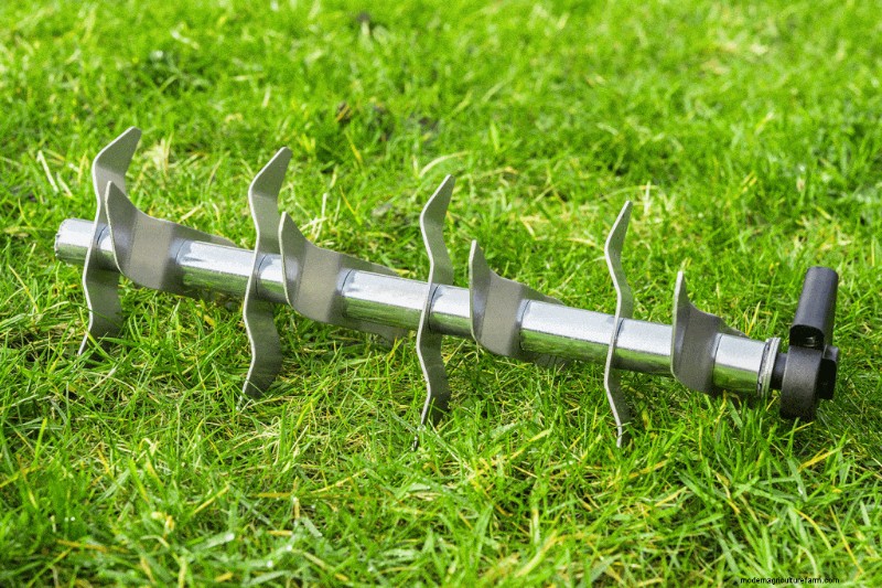 What’s The Best Time To Aerate And Overseed A Lawn?