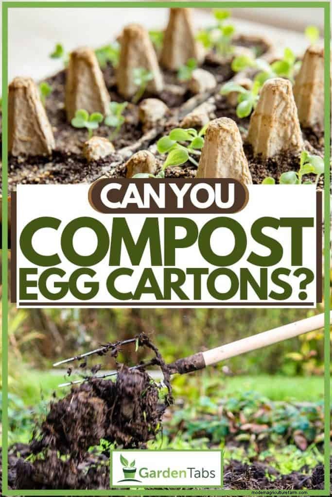 Can You Compost Egg Cartons?