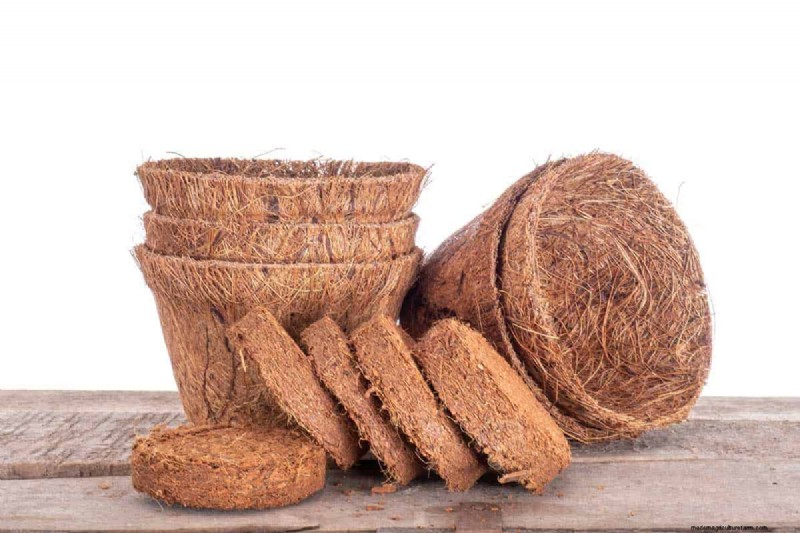 How To Improve Drainage In Potted Plants