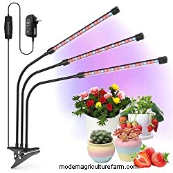 12 Best Heat Lamps For Plants