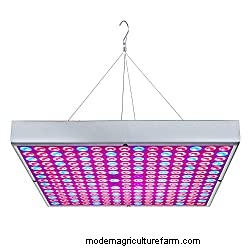 12 Best Heat Lamps For Plants