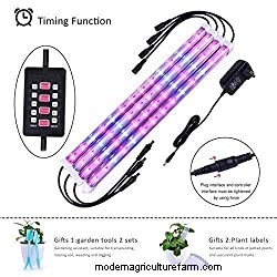 12 Best Heat Lamps For Plants