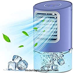 12 Best Heat Lamps For Plants