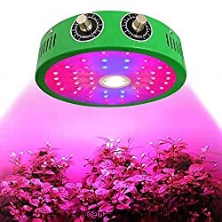 12 Best Heat Lamps For Plants