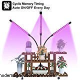 12 Best Heat Lamps For Plants