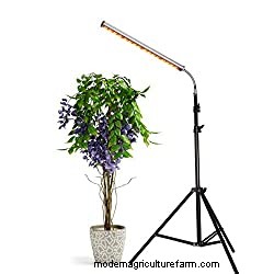 12 Best Heat Lamps For Plants