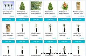 Where To Buy Pine Trees