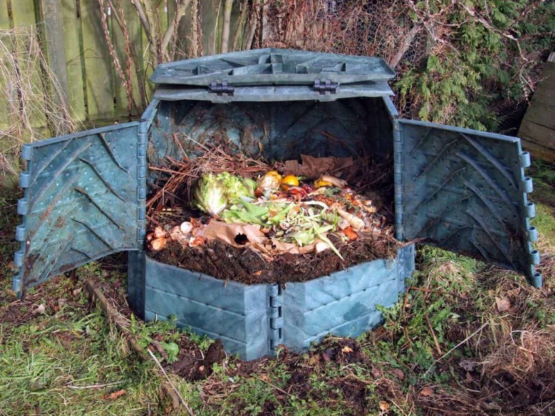 Grubs Or Maggots In Compost – What To Do?