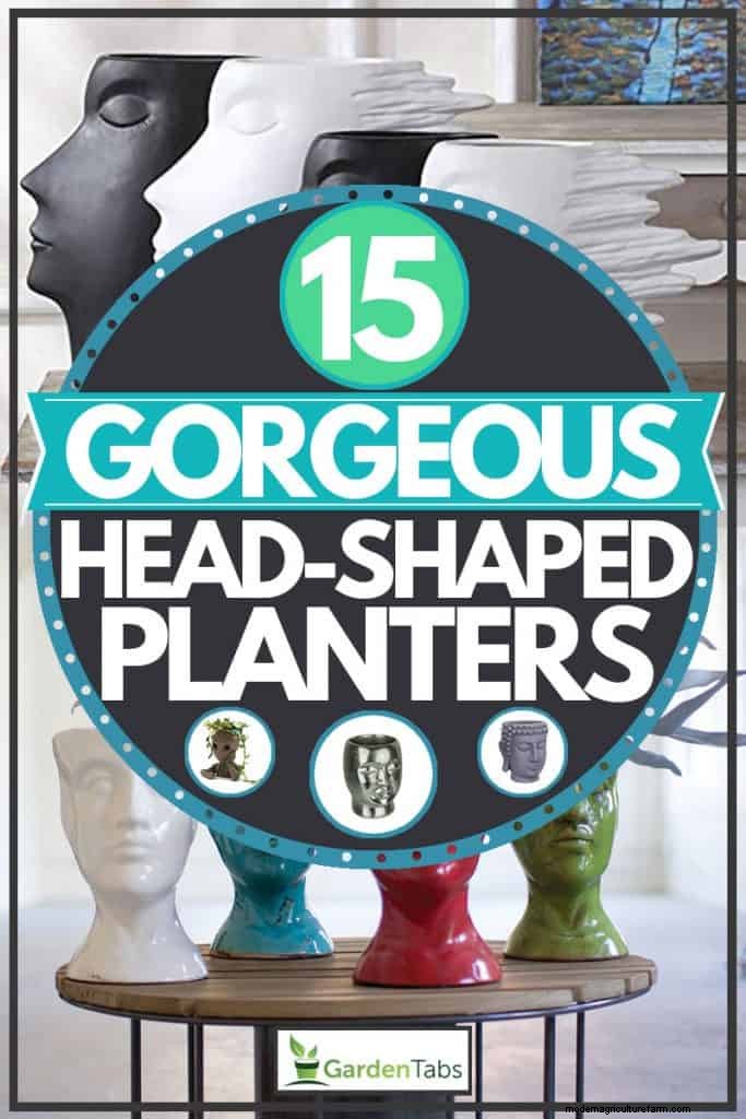 15 Gorgeous Head-Shaped Planters