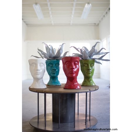 15 Gorgeous Head-Shaped Planters