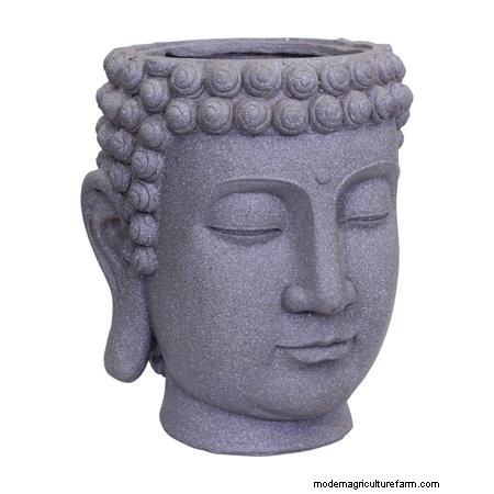 15 Gorgeous Head-Shaped Planters