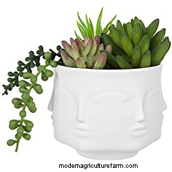 15 Gorgeous Head-Shaped Planters