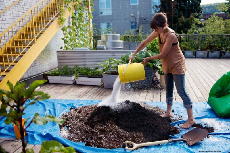 How Do You Prepare Soil For A Roof Garden?