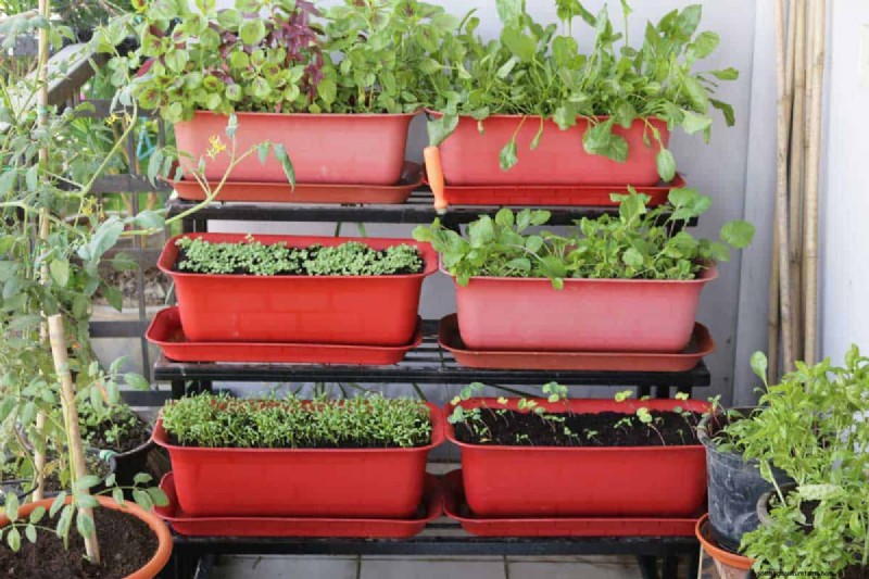 10 Awesome Balcony Garden Containers