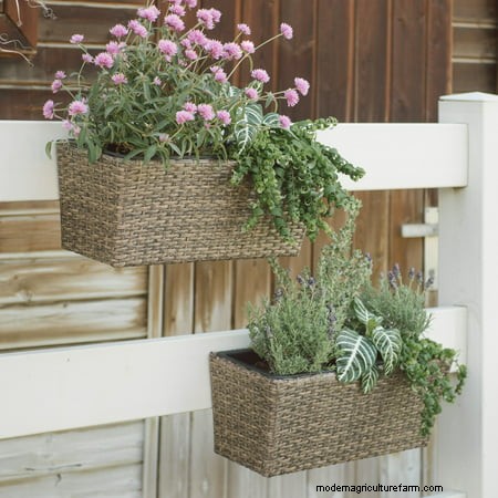 10 Awesome Balcony Garden Containers