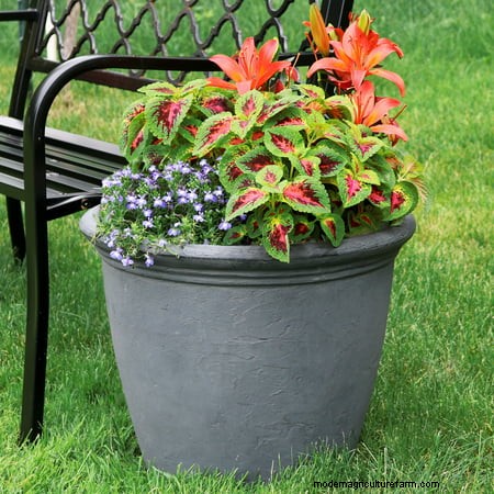 10 Best Walmart Large Flower Pots And Planters